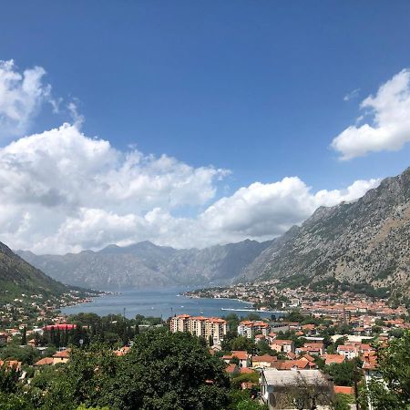 Apartman Savo Kotor Eksteriør billede