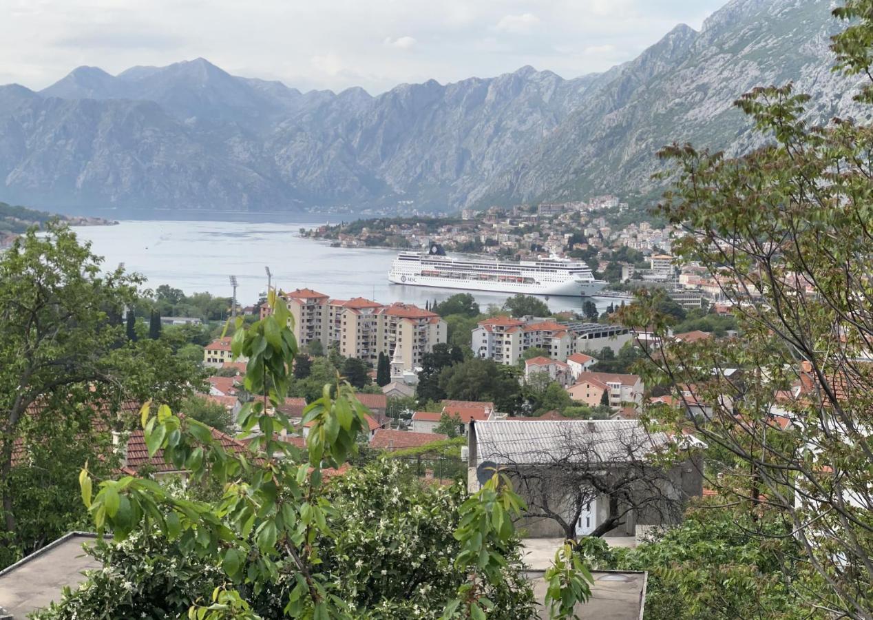 Apartman Savo Kotor Eksteriør billede